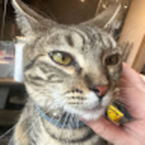 Meet your Posher, Georgia